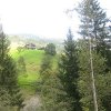 c_IMG_3641